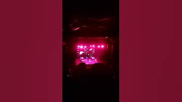Thumbnail of Weird Al - Dare to be stupid (@ the show)