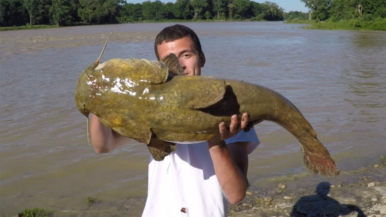 22lb Flathead on the Warrior Cat Rod! YouTube