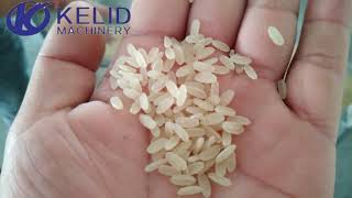 Artificial Rice Production Line-Jinan Kelid Machinery Co., Ltd.