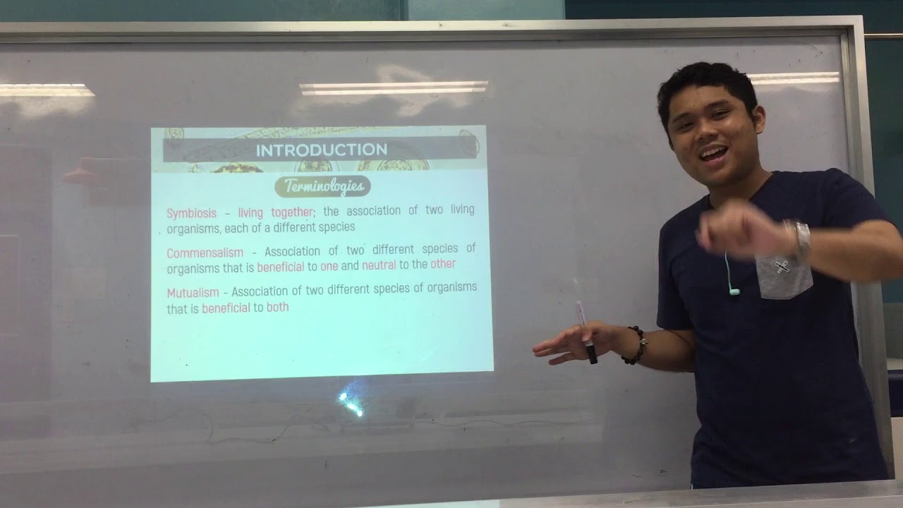 MT Pre-Recorded Lectures | MT 26: Introduction to Clinical Parasitology (Part 1)