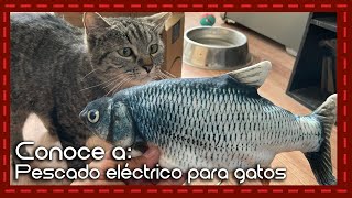 ¡La pesca perfecta para tu gato! Reseña de un pescado de juguete realista que estimulará su juego