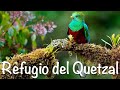 Refugio del Quetzal / San Marcos / Guatemala