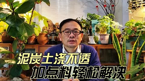 泥炭土养花，有两个通病，加这2种东西，可以轻松解决【莳花老刘】 - 天天要闻