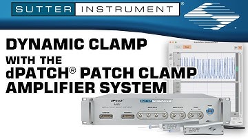 Dynamic Clamp with the dPatch® Patch Clamp Amplifier System - Scientists Empowering Scientists