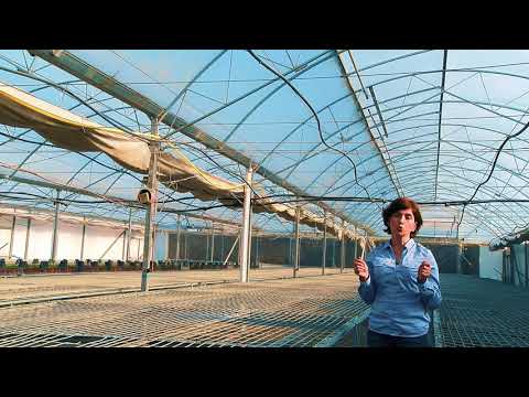 საირიგაციო სისტემები