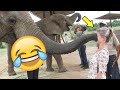Best funnys   people being idiots   try not to laugh  by funnytime99  5