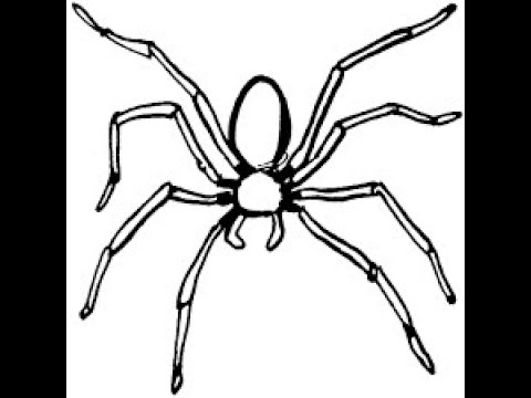 Dibujo de una araña