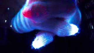 Robin Zhang - Video Entry | #LightsOnComp [Gloving.com]