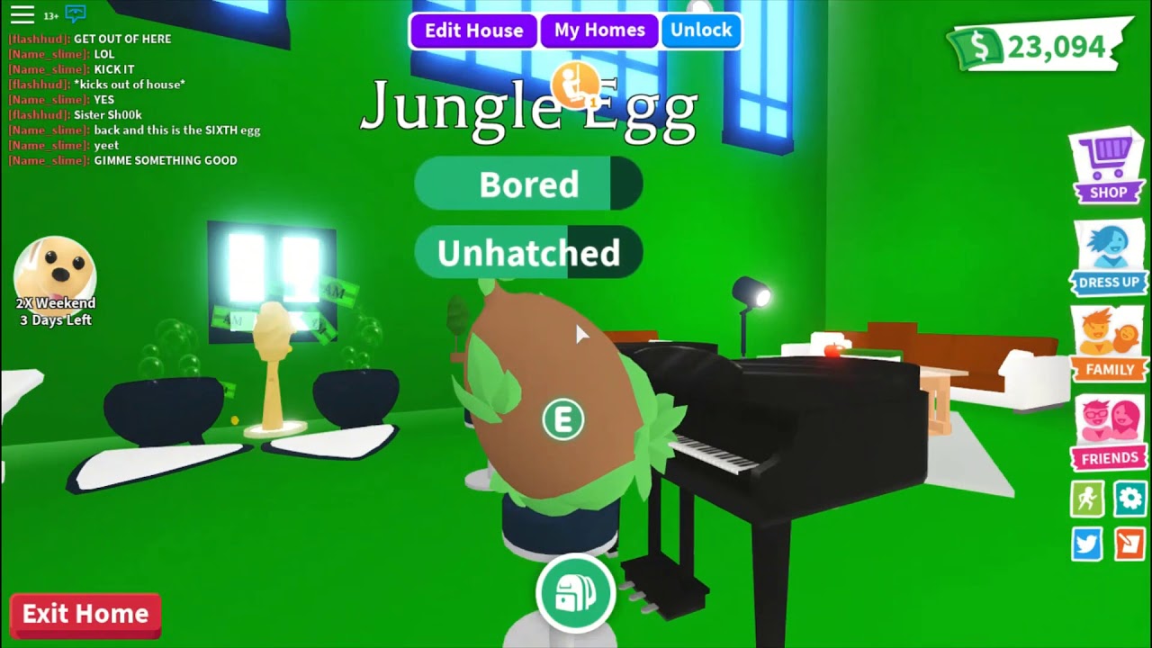 Hatching 10 Jungle Eggs I Got A Parrot Roblox Adopt Me Youtube - i got the new parrot in roblox adopt me jungle