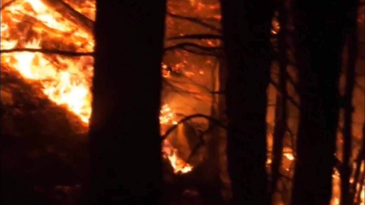 Wildfires rage on both U.S. coasts - YouTube