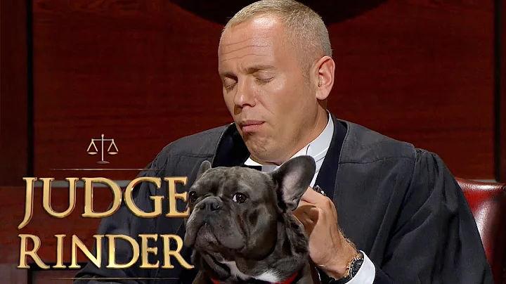 Adorable French Bulldog Farts on Judge Rinder! | Judge Rinder