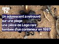 Royaume-Uni: il retrouve sur une plage une pièce de Lego rare tombée d'un conteneur en 1997 image