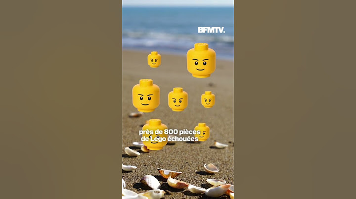Royaume-Uni: il retrouve sur une plage une pièce de Lego rare tombée d'un conteneur en 1997