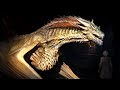 10 TYPES OF DRAGONS You Didn't Know About