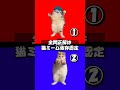 【猫ミームクイズ】音を聞いて当ててみて!全問正解は猫ミーム依存認定!? #猫ミーム #ミーム #2択ゲーム #wouldyourather