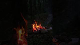 Autumn Campfire ASMR 🍂 | Calm Forest Sunset Vibes in 4K 🔥 #shorts #shortvideo