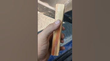 How to identify Fatwood | Fatwood Collecting