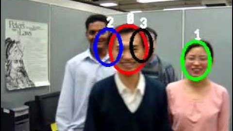 Multi-Object Tracking Using Multiple Interactive Trackers