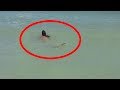 5 Times People Accidentally Spotted Mermaids on Tape!