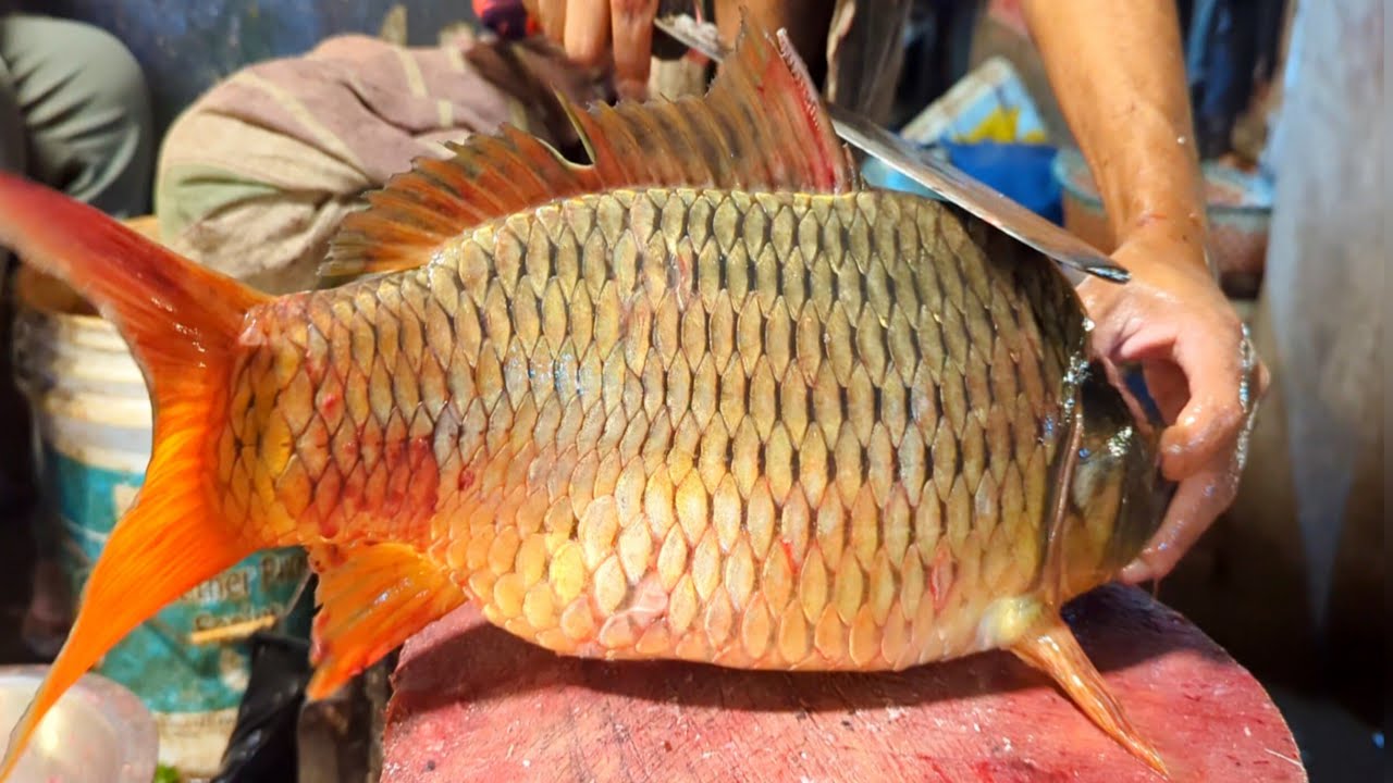 Kummal Fish Kamrul Fish Cutting is live! - YouTube