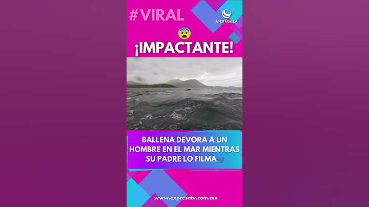 🚨 ¡De locos! Ballena se traga a un joven en kayak y su papá lo graba todo 😱🐋