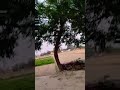 #funny #comedy