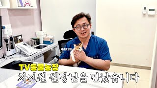 I met a famous veterinarian in Korea for the treatment of a cat with a congenital brain disorder.