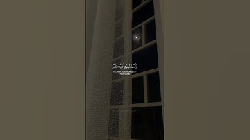 القارئ : سعد الغامدي | سورة : هود | #قرآن