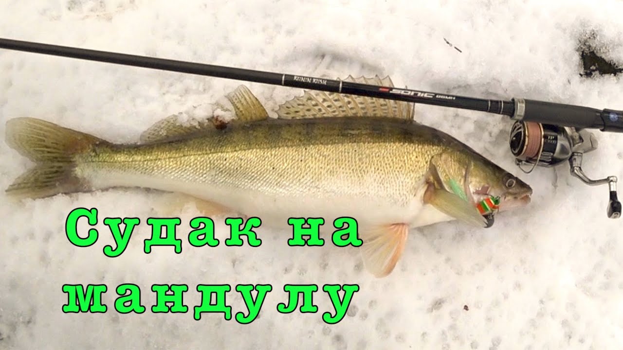 Ловля судака на мандулы. Светящиеся мандулы. - YouTube