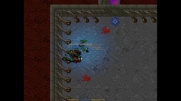 Tibia The Noxious Spawn Boss