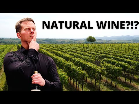 NATURAL WINE 101: