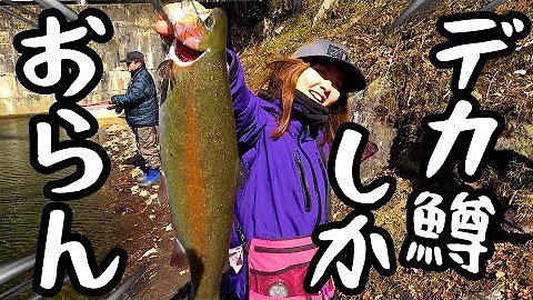 あんこうアワーズ Litetube