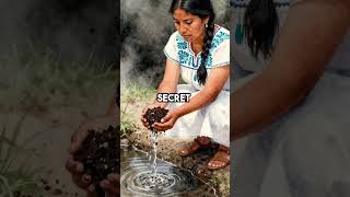 Aztecs Built Floating Farms That Fed More People Than London