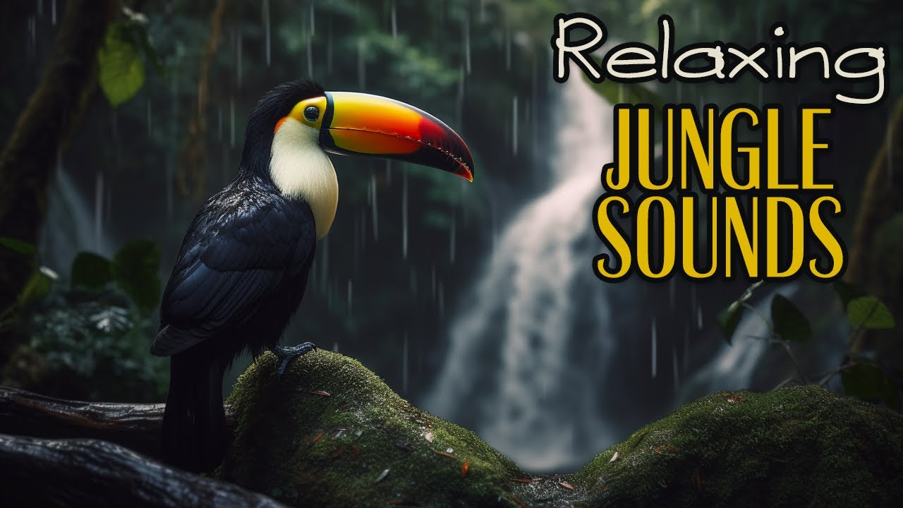 Relaxing Jungle Sounds Tropical Forest Relaxing Nature Black Screen