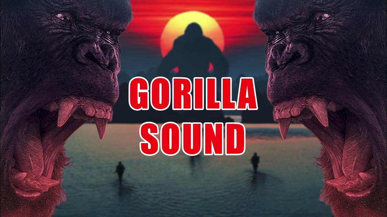 Gorilla sound effect Gorilla sound 3 Free sound effects for you