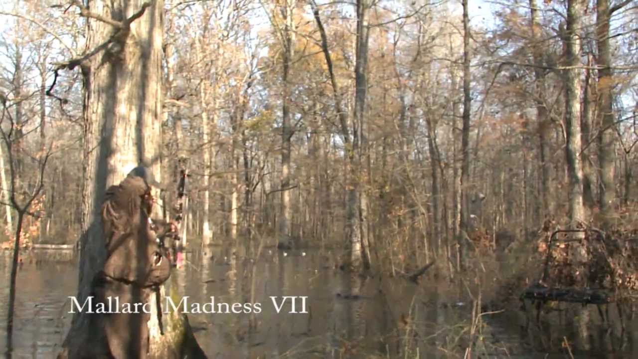 The REAL DEAL - Echo Calls Mallard Madness VII -  The Good Stuff