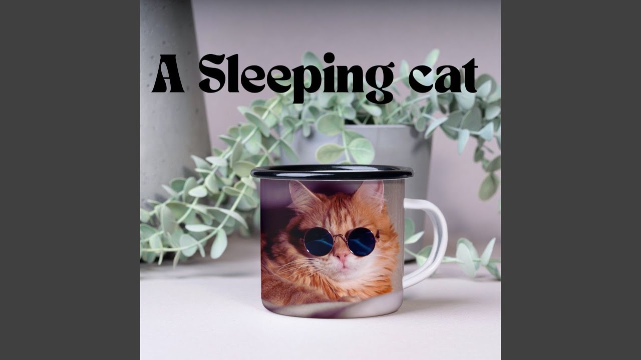 Watch A Sleeping Cat on YouTube Watch A Sleeping Cat on YouTube