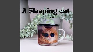 A Sleeping Cat