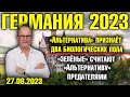 Германия 2023. «Альтернатива» признаёт два биологических пола, Зелёные считают AfD предателями