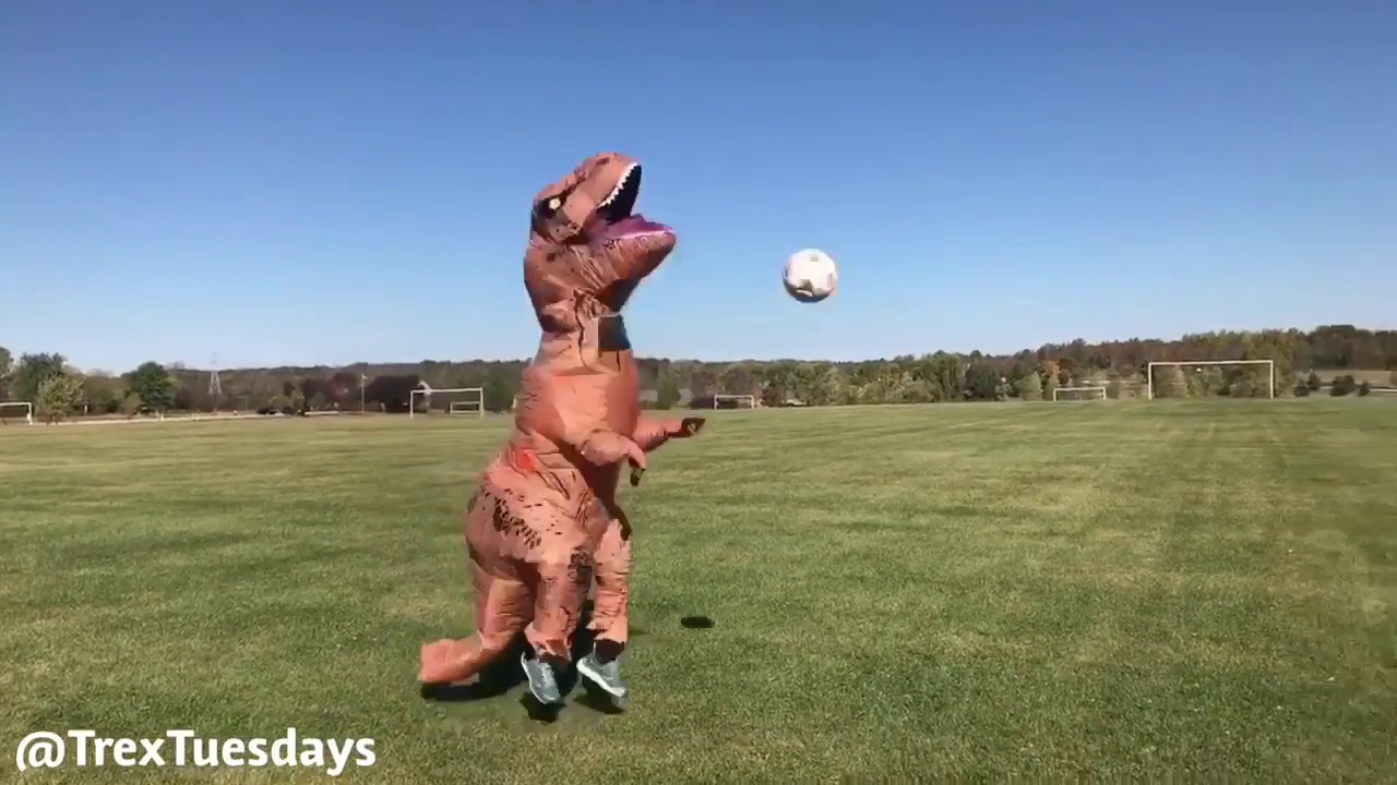 We heard there was a big football game coming up... Luckily, we know