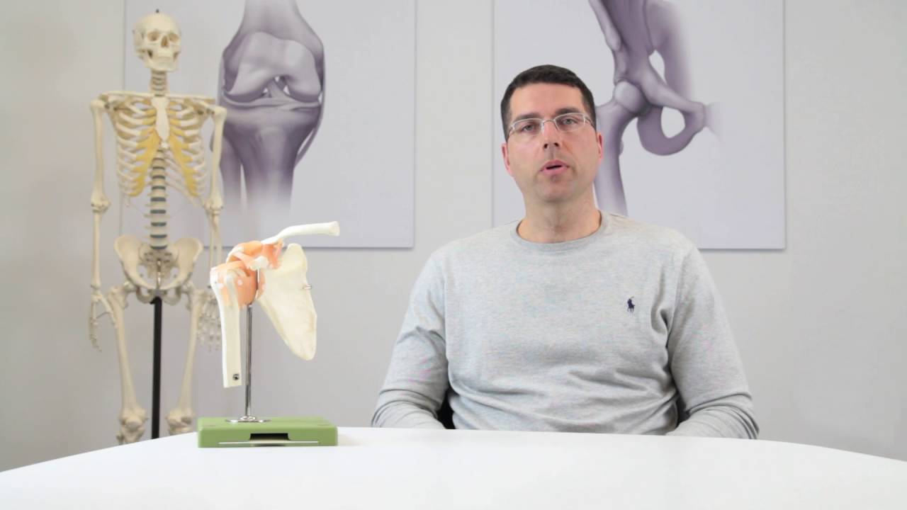 Wie funktioniert das Schultergelenk?