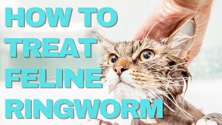 How to Treat Feline Ringworm Fast