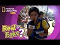 Real or Fake Statements Challenge