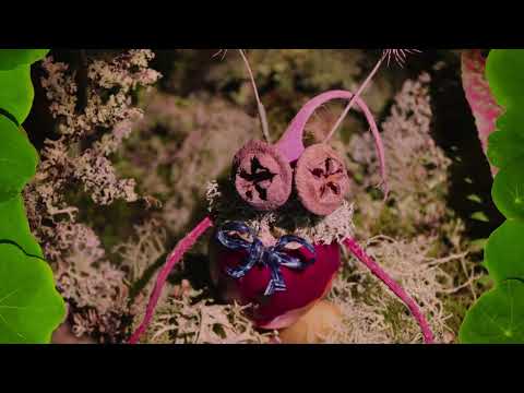 Babehoven - "Lightness is Loud" Music Video