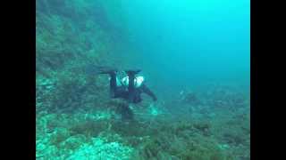 buoyancy trim propultion