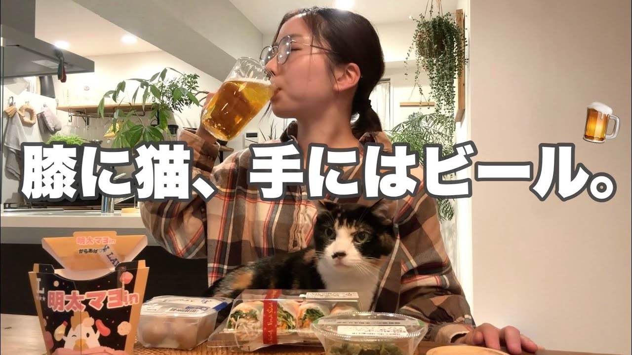 【ローソン爆買い】休日前の爆食い晩酌。猫がお供してくれて幸せがすぎる夜🍺