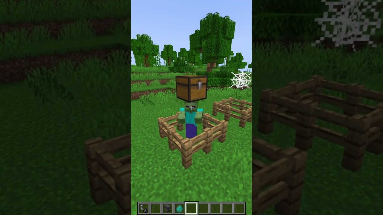 Minecraft Logic (Anxiety) 🤯