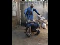 Chuga Dance Wakicheza Kwaya 
