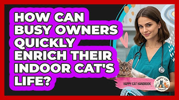 How Can Busy Owners Quickly Enrich Their Indoor Cat