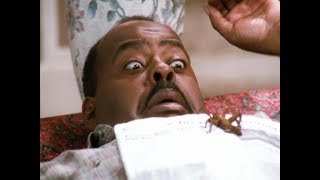 Family Matters - Citizen's Court - "It was just a bug"